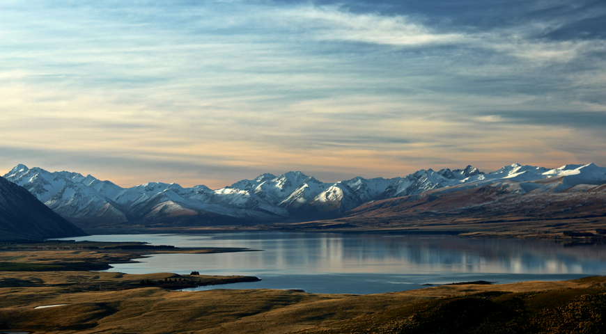 Why New Zealand MSPs need to embrace AI in RMM