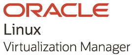 Oracle LVM